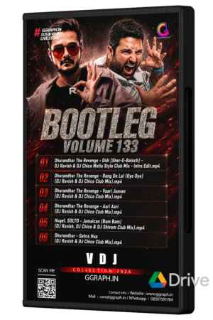Bootleg Volume 133 – DJ Ravish & DJ Chico (VDJ Playlist)