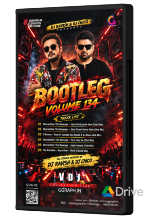 BOOTLEG Volume 134 – DJ Ravish & DJ Chico (VDJ Playlist)